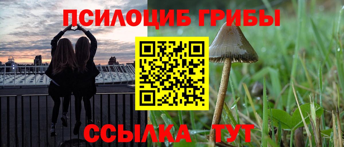 Галлюциногенные грибы Psilocybine cubensis Екатеринбург